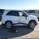 5XYKU4A76EG517126 2014 Kia Sorento Ex V6 auction photo thumbnail 12