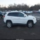 1C4PJMDS8FW512464 2015 Jeep Cherokee Limited auction photo thumbnail 13