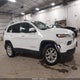 1C4PJMCB1GW255585 2016 Jeep Cherokee Latitude auction photo thumbnail 13