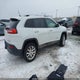 1C4PJMDS5HW659084 2017 Jeep Cherokee Limited 4X4 auction photo thumbnail 4