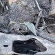 1FAHP34N46W239231 2006 Ford Focus Zx4 auction photo thumbnail 9