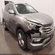 5NMZUDLB2HH029009 2017 Hyundai Santa Fe Sport 2.4L auction photo thumbnail 6
