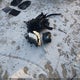 JA4AP3AU9LU016062 2020 Mitsubishi Outlander Sport 2.0 Es auction photo thumbnail 11
