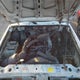 1FTCR10AXSPB21419 1995 Ford Ranger auction photo thumbnail 10