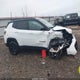 3C4NJDDN2RT610210 2024 Jeep Compass Trailhawk 4X4 auction photo thumbnail 13
