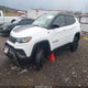 3C4NJDDN2RT610210 2024 Jeep Compass Trailhawk 4X4 auction photo thumbnail 2