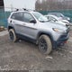 1C4PJMBS3GW179031 2016 Jeep Cherokee Trailhawk auction photo thumbnail 1