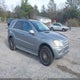 4JGBB8GBXAA609337 2010 Mercedes-Benz Ml 350 4Matic auction photo thumbnail 1