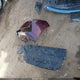 3N1AB8CV1MY204065 2021 Nissan Sentra Sv Xtronic Cvt auction photo thumbnail 10