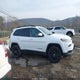 1C4PJMCS3EW309143 2014 Jeep Cherokee Altitude auction photo thumbnail 13