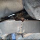 5TEWN72N83Z175016 2003 Toyota Tacoma Base V6 auction photo thumbnail 17