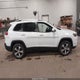 1C4PJMDN8LD635599 2020 Jeep Cherokee Limited 4X4 auction photo thumbnail 14