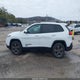 1C4PJMCS2HW525604 2017 Jeep Cherokee 75Th Anniversary Edition 4X4 auction photo thumbnail 14