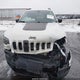 1C4PJMBNXKD246545 2019 Jeep Cherokee Trailhawk Elite 4X4 auction photo thumbnail 12