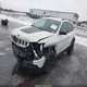 1C4PJMBNXKD246545 2019 Jeep Cherokee Trailhawk Elite 4X4 auction photo thumbnail 2
