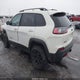 1C4PJMBNXKD246545 2019 Jeep Cherokee Trailhawk Elite 4X4 auction photo thumbnail 3