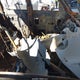 1B7GG2AN31S217533 2001 Dodge Dakota Slt/Sport auction photo thumbnail 5