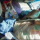 1GCEK19V72E173816 2002 Chevrolet Silverado 1500 Ls auction photo thumbnail 5