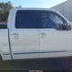 1FTFW1EV0AFB92831 2010 Ford F-150 Fx4/Harley-Davidson/King Ranch/Lariat/Platinum/Xl/Xlt auction photo thumbnail 13