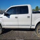 1FTFW1EV0AFB92831 2010 Ford F-150 Fx4/Harley-Davidson/King Ranch/Lariat/Platinum/Xl/Xlt auction photo thumbnail 14