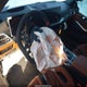 WBS33HJ05TFV94628 2026 BMW M3 Competition xDrive auction photo thumbnail 5