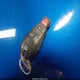 1C3CDFBAXDD342407 2013 Dodge Dart Sxt auction photo thumbnail 11