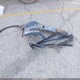 JTDACAAU9S3059018 2025 Toyota Prius Xle auction photo thumbnail 12