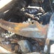 3N1CP5CV8ML528796 2021 Nissan Kicks Sv Xtronic Cvt auction photo thumbnail 9