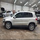 WVGBV7AXXDW537813 2013 Volkswagen Tiguan S auction photo thumbnail 14