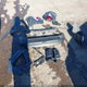 KM8HB3AB6SU192594 2025 Hyundai Kona Sel auction photo thumbnail 12