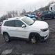 1C4PJMLX3KD223690 2019 Jeep Cherokee Latitude Plus 4X4 auction photo thumbnail 13