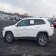 1C4PJMLX3KD223690 2019 Jeep Cherokee Latitude Plus 4X4 auction photo thumbnail 14