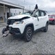 3C4NJDDN3RT171387 2024 Jeep Compass Trailhawk 4X4 auction photo thumbnail 2