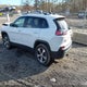 1C4PJMDX2MD200662 2021 Jeep Cherokee Limited 4X4 auction photo thumbnail 3