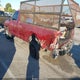 5TBJN32164S440894 2004 Toyota Tundra auction photo thumbnail 3