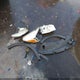 1FMCU0GX2FUA28559 2015 Ford Escape Se auction photo thumbnail 12