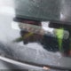 1HGEM22561L036758 2001 Honda Civic Lx auction photo thumbnail 11