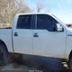 1FTFW1EF5DKD13082 2013 Ford F-150 Xl auction photo thumbnail 12