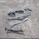 1GKKNKLA1MZ143216 2021 GMC Acadia Fwd Sle auction photo thumbnail 12