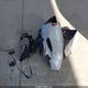 JM1NDAC71J0205787 2018 Mazda Mx-5 Miata Club auction photo thumbnail 12