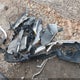 5J6RW2H52JL002506 2018 Honda Cr-V Ex auction photo thumbnail 12