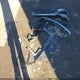 3KPC24A61LE097920 2020 Hyundai Accent Se auction photo thumbnail 12