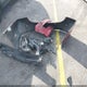 1G1ZD5ST5RF201721 2024 Chevrolet Malibu Fwd 1Lt auction photo thumbnail 12