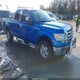 1FTEX1E83AFB33047 2010 Ford F-150 Stx/Xl/Xlt auction photo thumbnail 1