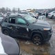 1C4PJMCS1GW244876 2016 Jeep Cherokee 75Th Anniversary auction photo thumbnail 13