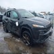 1C4PJMCS1GW244876 2016 Jeep Cherokee 75Th Anniversary auction photo thumbnail 1
