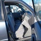 JTEDP21A650078284 2005 Toyota Highlander V6 auction photo thumbnail 5