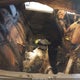 5XXGT4L30KG289594 2019 Kia Optima S auction photo thumbnail 8