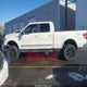 1FTPW14V99KC88322 2009 Ford F-150 Fx4/King Ranch/Lariat/Platinum/Xl/Xlt auction photo thumbnail 15