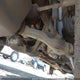 3TMKU4HN3AM026269 2010 Toyota Tacoma Prerunner V6 auction photo thumbnail 19